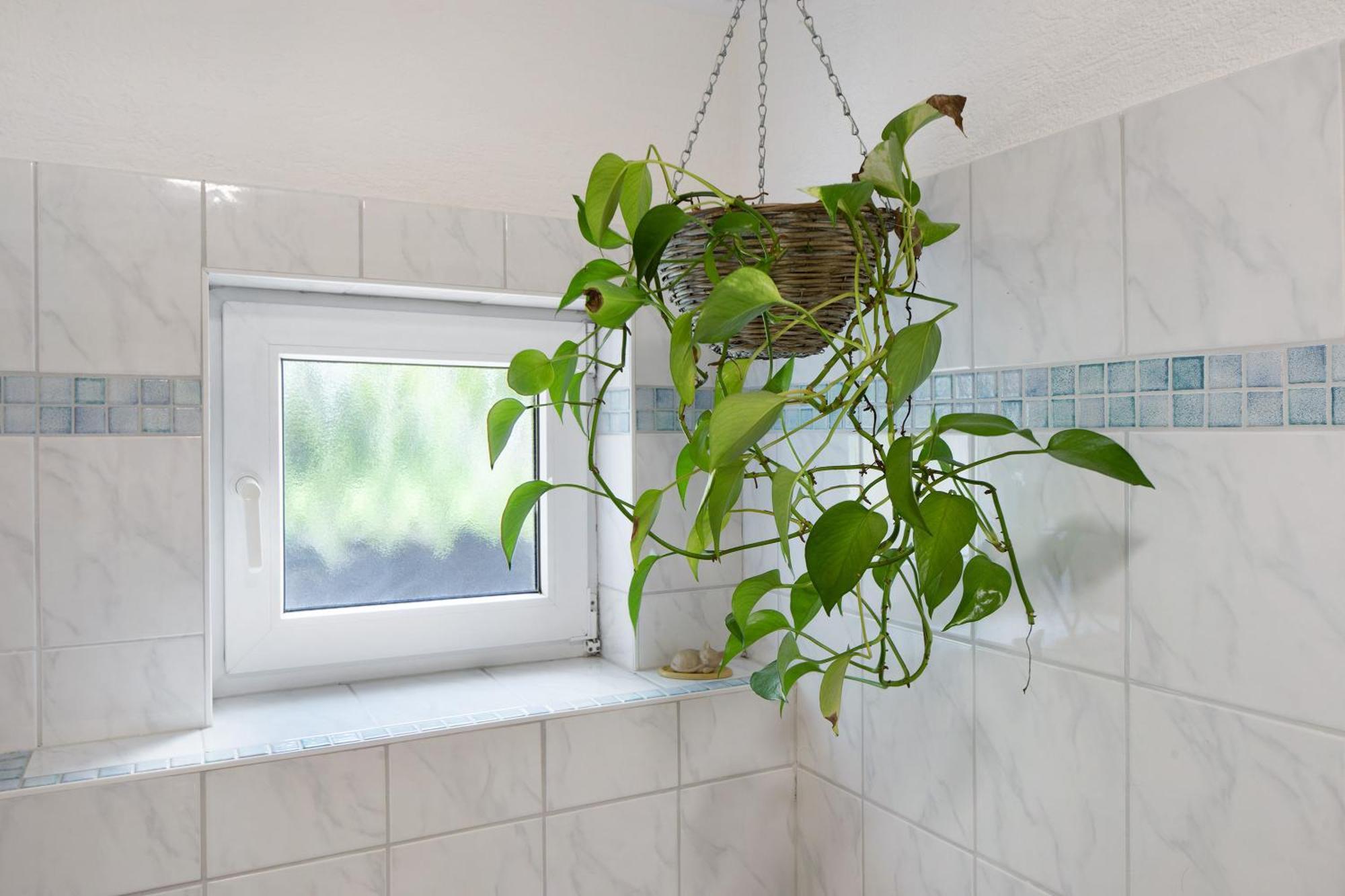 Ferienwohnung Zur Schauinslandbahn Horben Екстер'єр фото